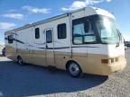 1998 Freightliner XC Chassis RV
