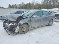 Hyundai salvage cars for sale: 2013 Hyundai Sonata se