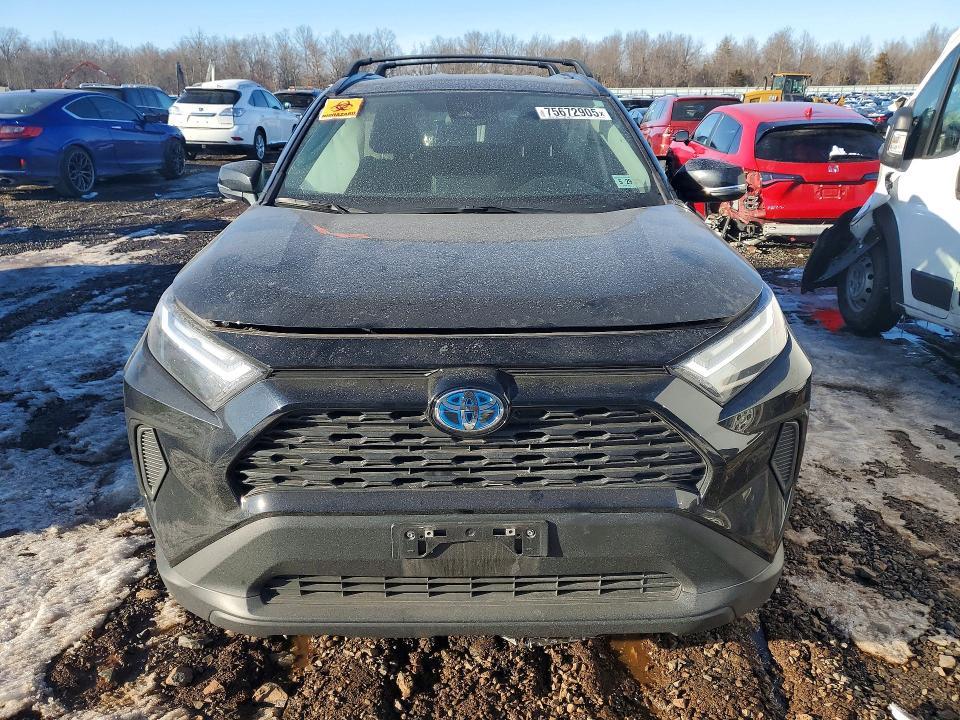 2024 Toyota Rav4 le