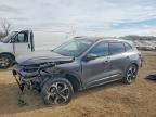 2024 Ford Escape st Line Elite