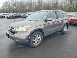 Honda Cr-v exl salvage cars for sale: 2011 Honda Cr-v exl