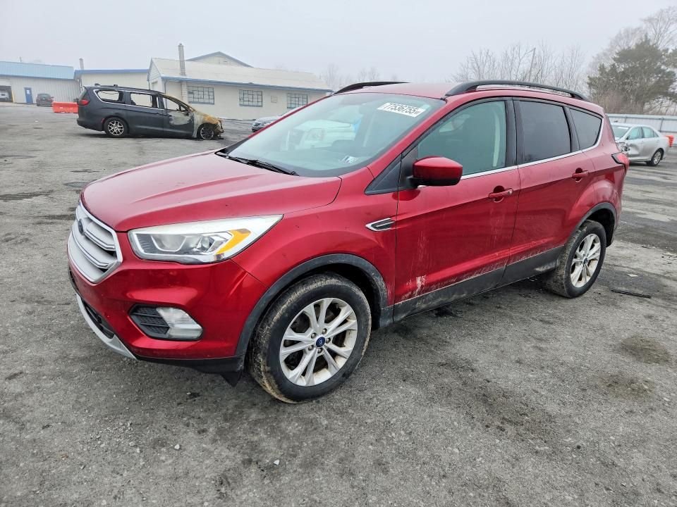 2019 Ford Escape sel