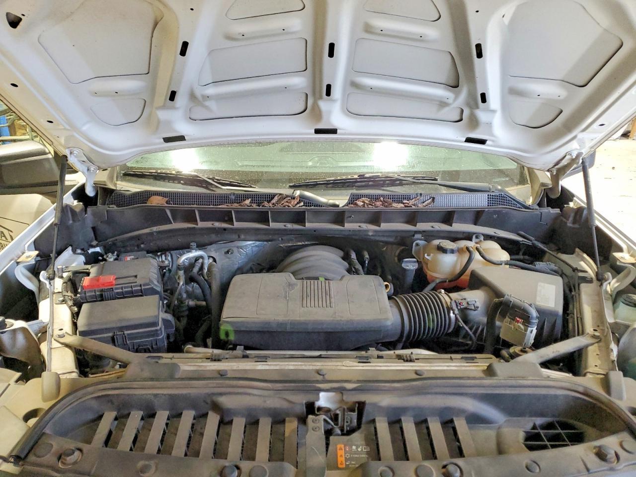 2019 Chevrolet Silverado C1500