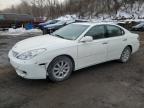 2004 Lexus Es 330