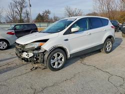 2014 Ford Escape se en venta en Rogersville, MO