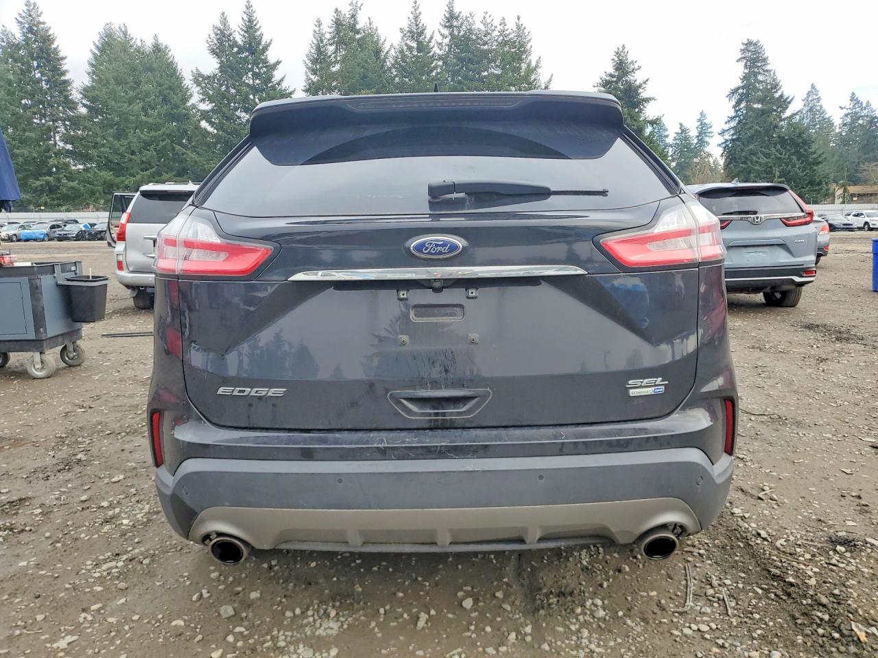 2019 Ford Edge sel