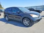2010 Honda Cr-v exl