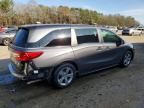 2020 Honda Odyssey exl