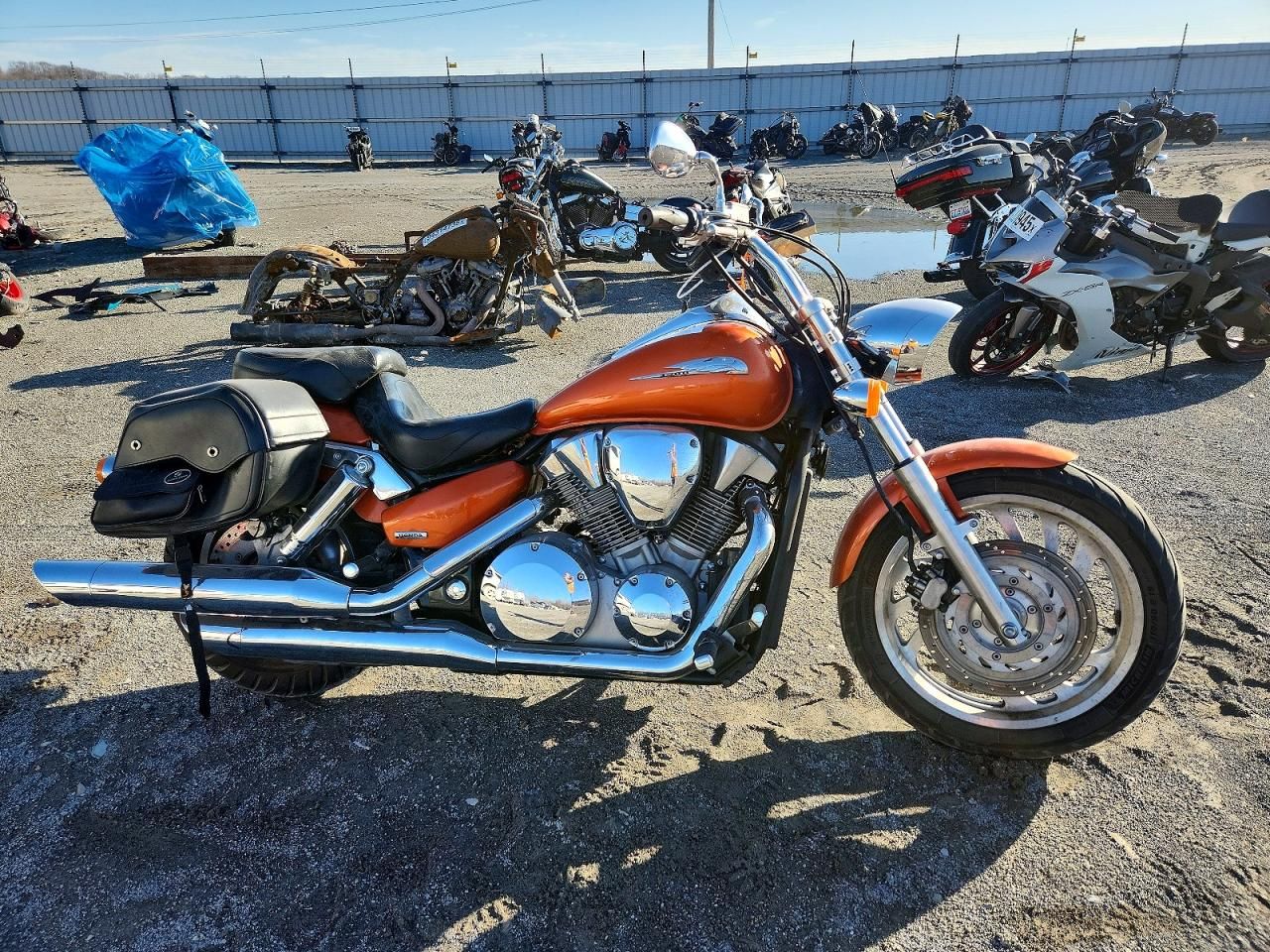2004 Honda VTX1300 C