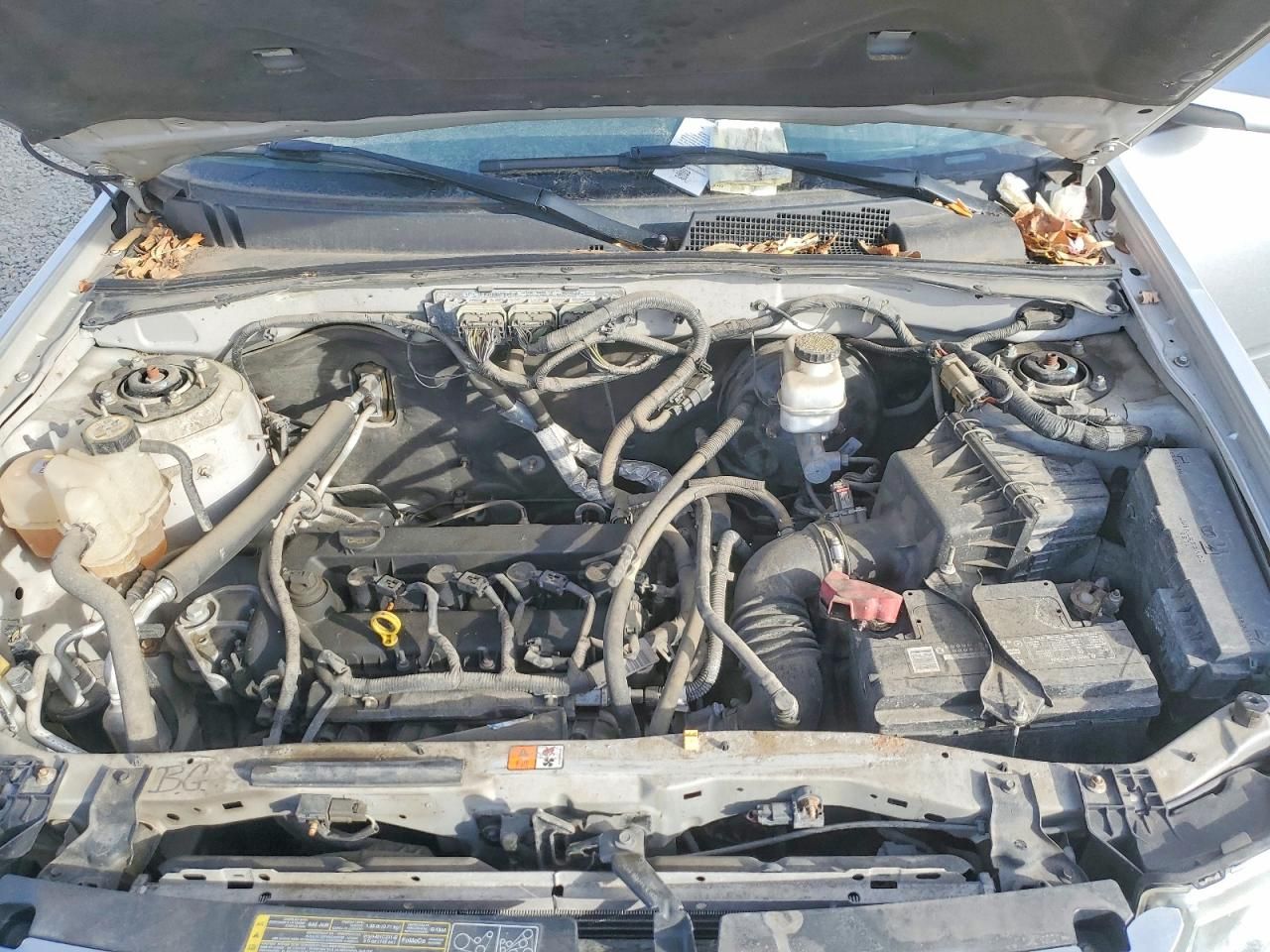 2010 Ford Escape Limited