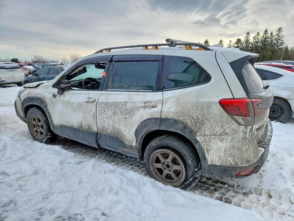 2023 Subaru Forester Wilderness