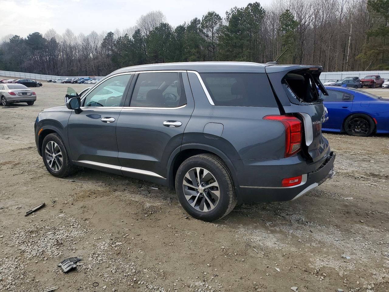 2020 Hyundai Palisade sel