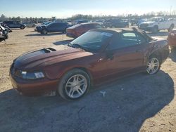 Salvage cars for sale from Copart Houston, TX: 2003 Ford Mustang gt