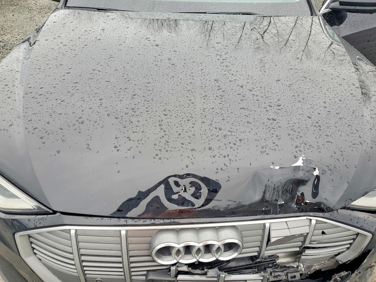 2019 Audi E-tron Premium Plus