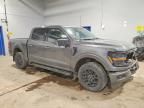 2024 Ford F150 xlt