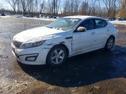 KIA Optima lx salvage cars for sale: 2015 KIA Optima lx