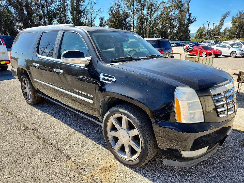 2010 Cadillac Escalade esv Premium