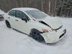 2008 Honda Civic Dx-g