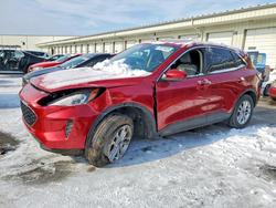 2020 Ford Escape se for sale in Louisville, KY
