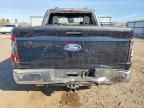2024 Ford F150 stx