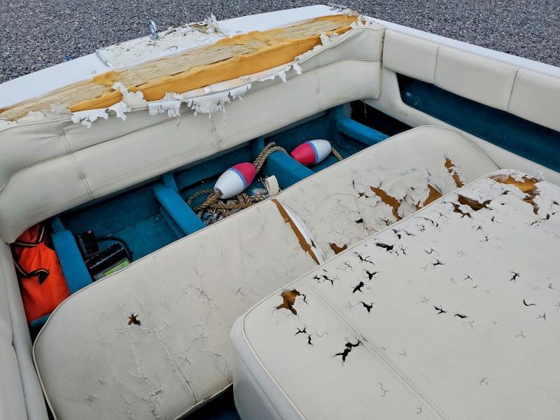 1997 Centurion Boats Coronado-boat