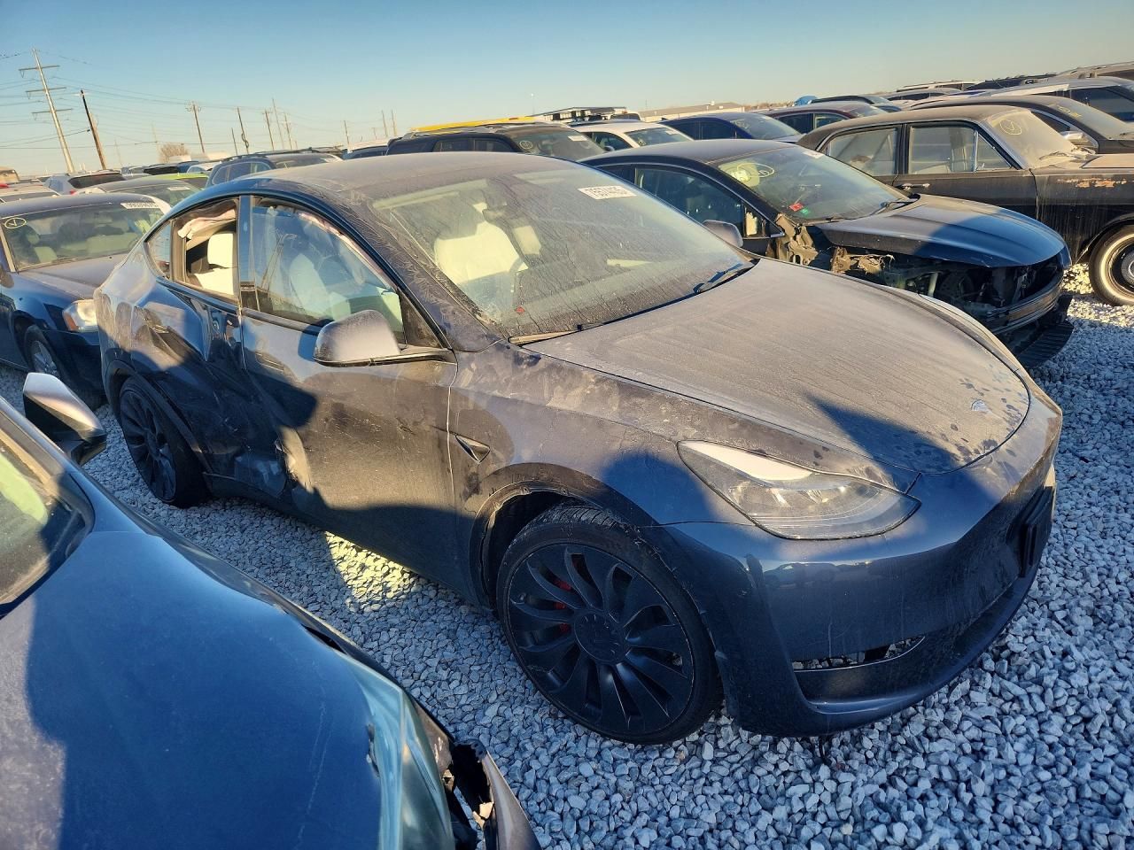 2023 Tesla Model y