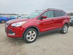 Ford Escape Vehiculos salvage en venta: 2016 Ford Escape se