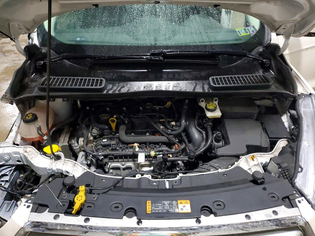 2019 Ford Escape sel