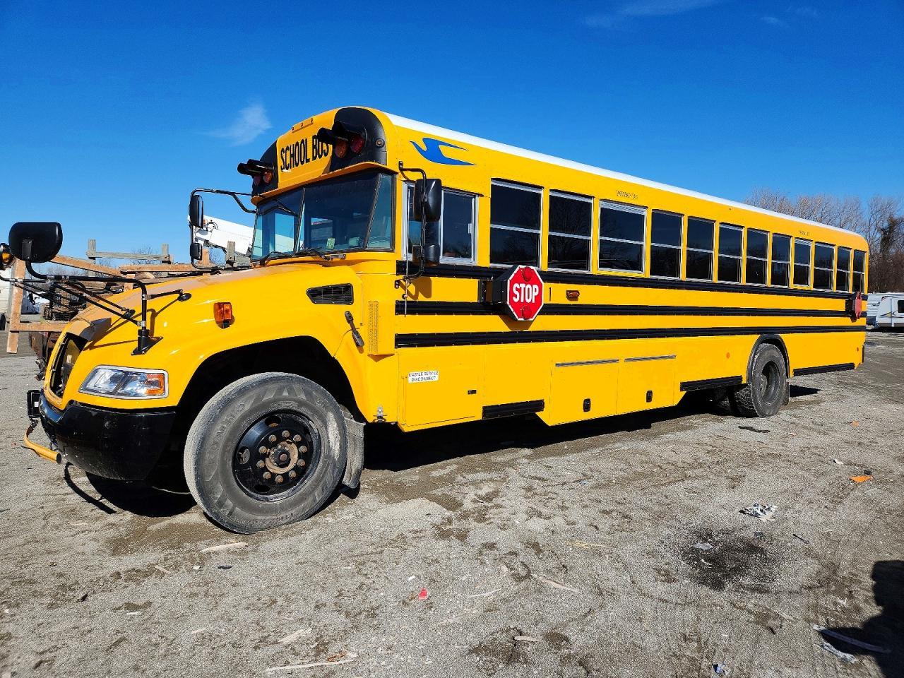 2023 Blubird School Bus / Transit Bus