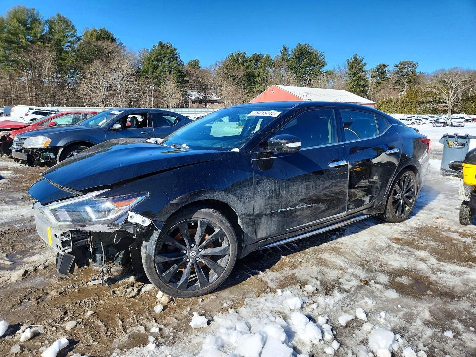 2017 Niss Maxima Base