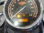 2017 Harley-Davidson FLS Softail Slim