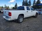 2005 Dodge Dakota Quad SLT