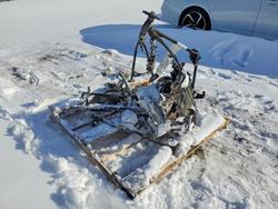 Salvage cars for sale from Copart Ontario Auction, ON: 2013 Skidoo Renegade