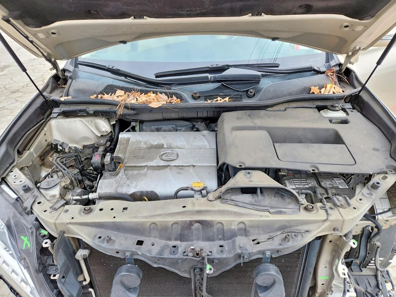 2015 Lexus Rx 350 Base