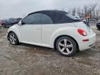 2007 Volkswagen New Beetle Triple White