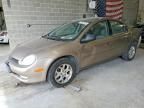 2000 Dodge Neon Base
