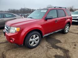Ford Vehiculos salvage en venta: 2010 Ford Escape xlt