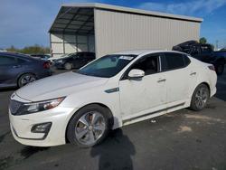 KIA Vehiculos salvage en venta: 2014 KIA Optima Hybrid ex