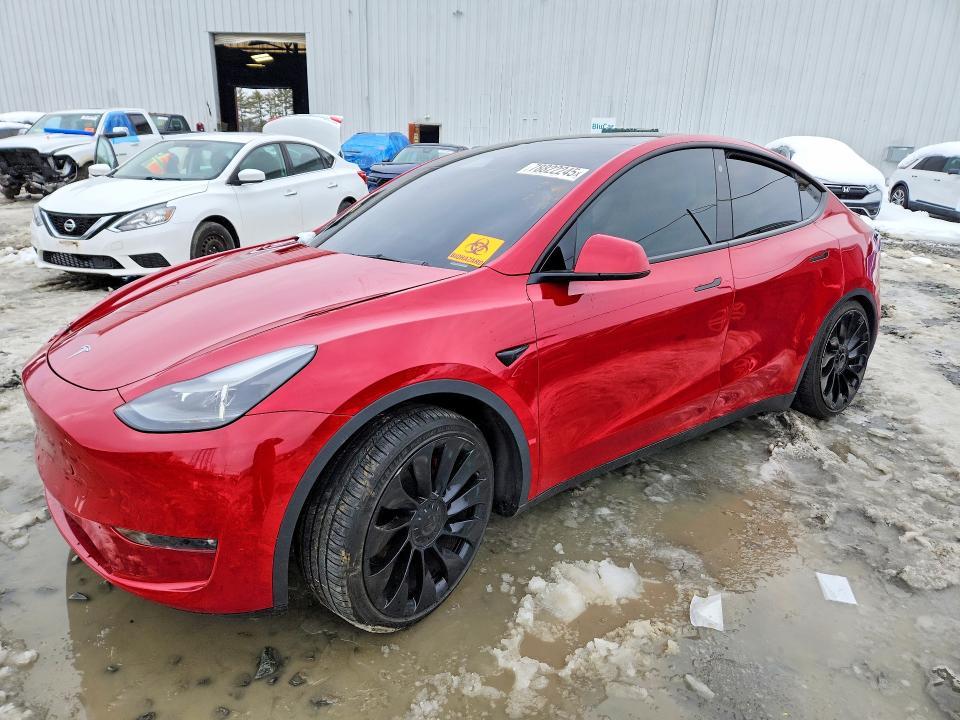 2021 Tesla Model y