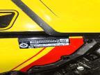 2024 Skidoo REN Sport