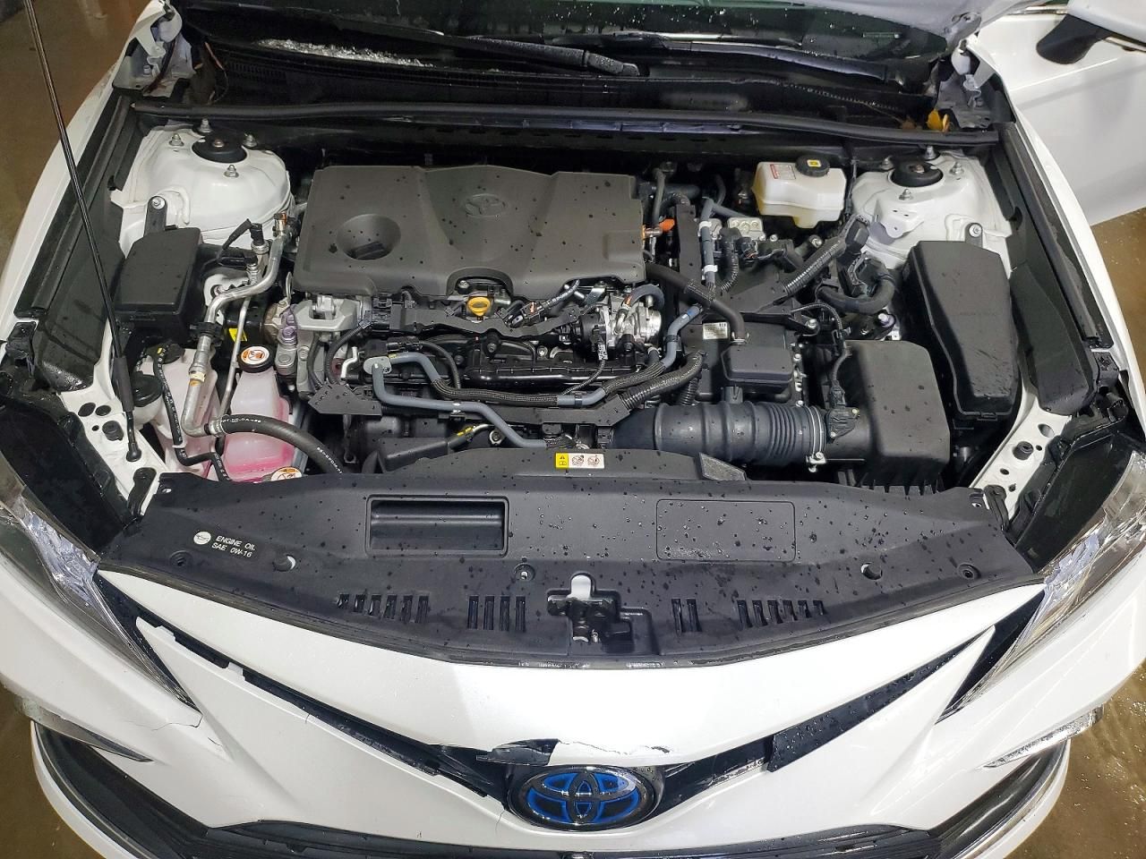 2023 Toyota Camry xle