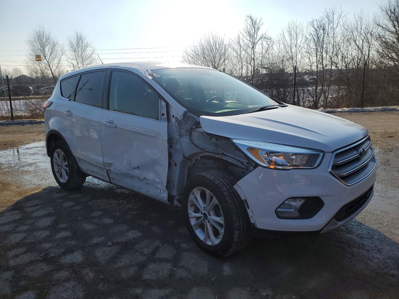 2019 Ford Escape se