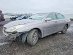 2004 Lexus Es 330