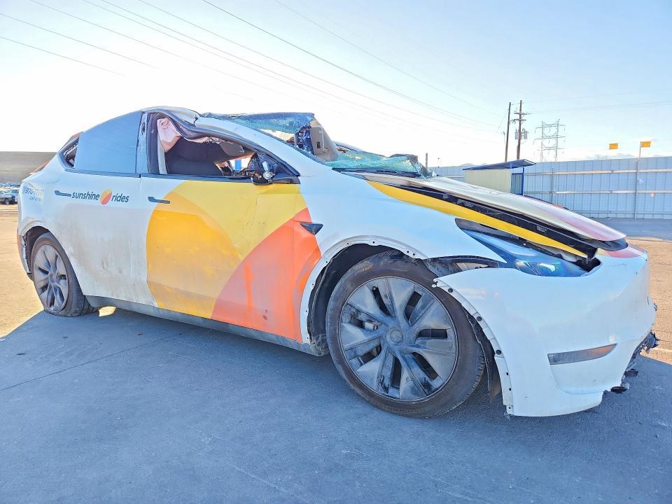 2025 Tesla Model y