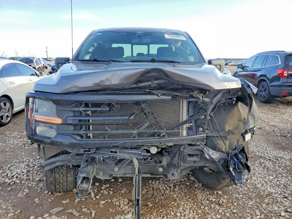 2024 Ford F150 xlt