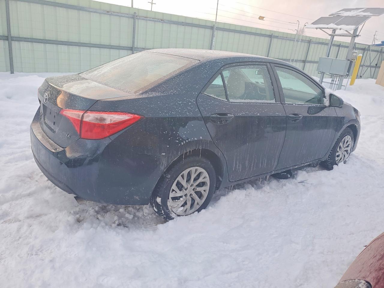 2019 Toyota Corolla l
