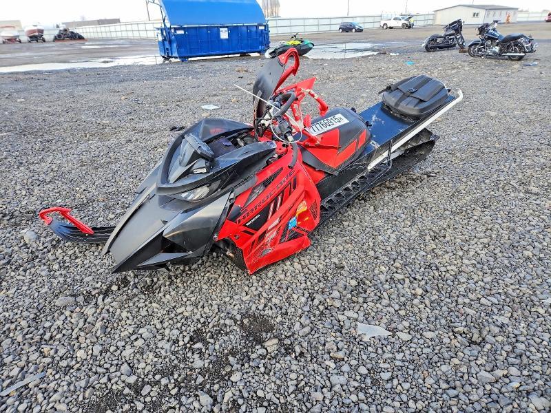2021 Arca 2021 Arti M800