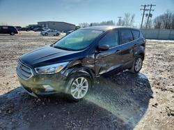 Salvage cars for sale from Copart Wayland, MI: 2019 Ford Escape se