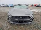 2023 Ford Mustang