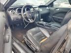 2005 Ford Mustang gt
